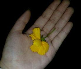 网红吃瓜素材视频大全,盘点娱乐圈那些鲜为人知的幕后故事