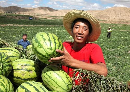 阳新县吃瓜爆料,揭秘当地热点事件背后的真相