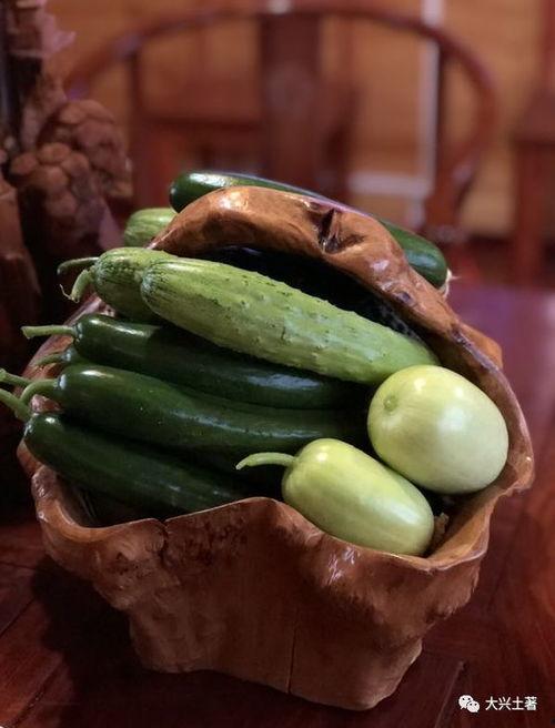 建湖网红吃瓜,揭秘当地美食文化新潮流