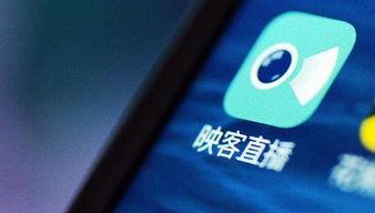 映客吃瓜爆料墙,揭秘娱乐圈幕后故事