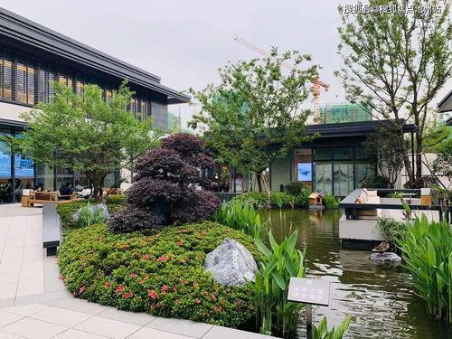 枣庄吃瓜协会官网电话地址,联系方式一览，尽在官网揭晓